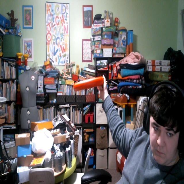 Dataset Image