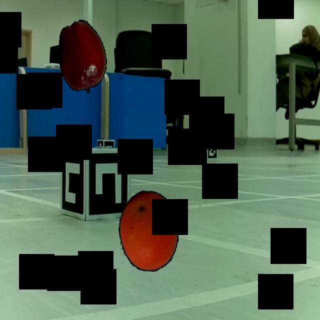 Dataset Image