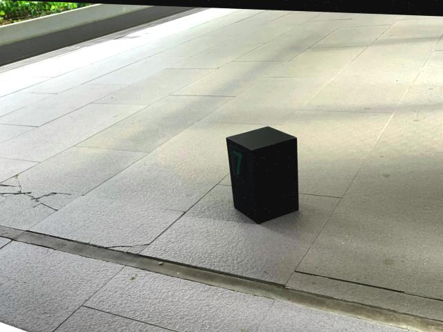 Dataset Image