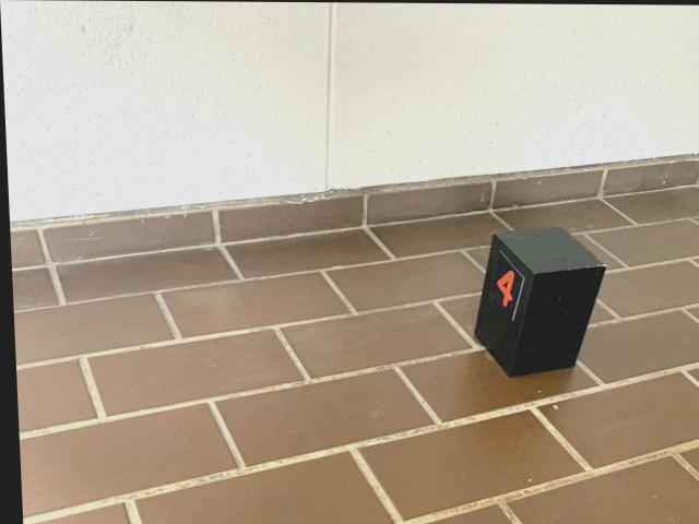 Dataset Image