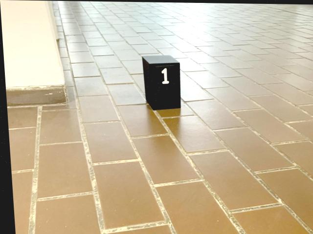 Dataset Image