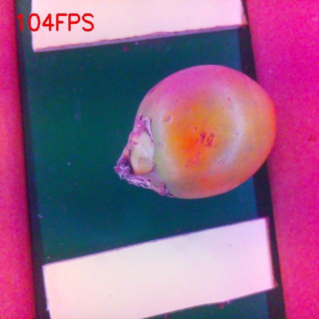 Dataset Image