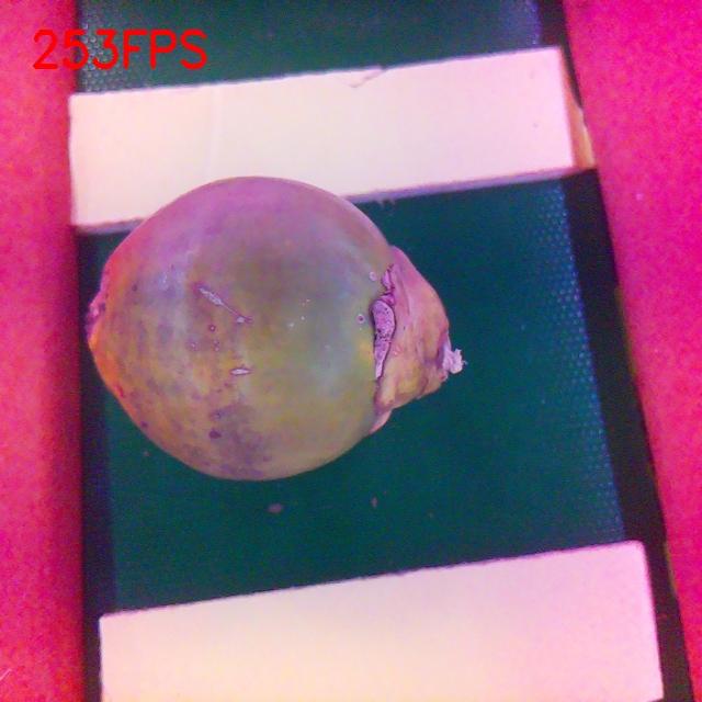 Dataset Image