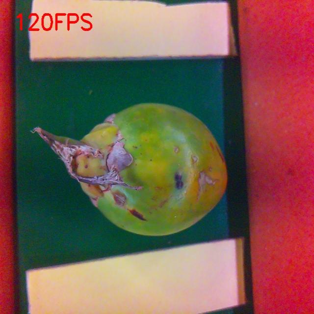 Dataset Image
