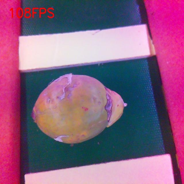 Dataset Image