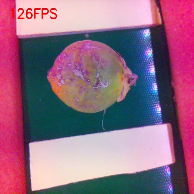 Dataset Image