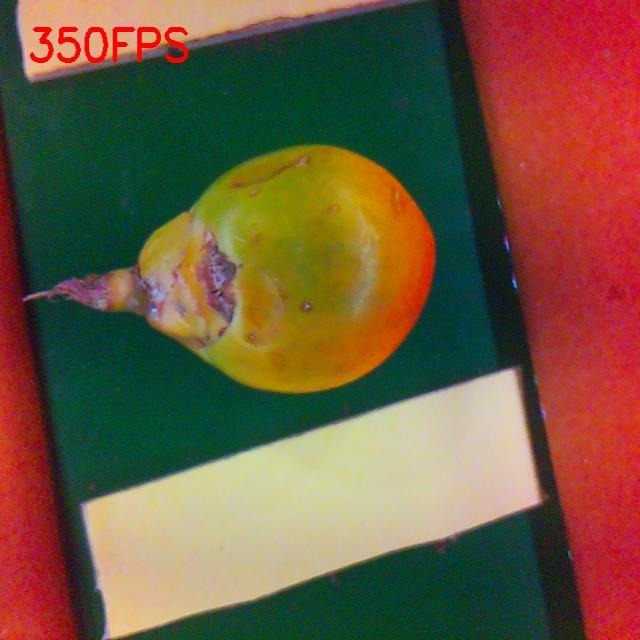 Dataset Image
