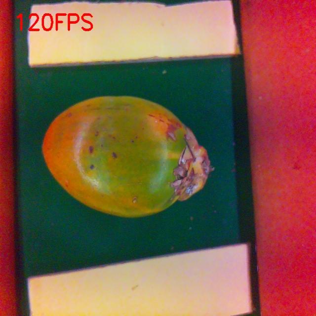 Dataset Image