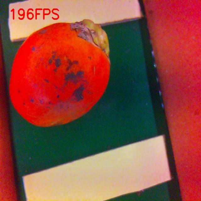 Dataset Image
