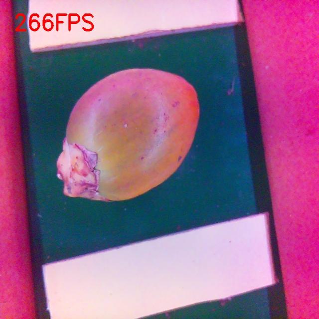 Dataset Image