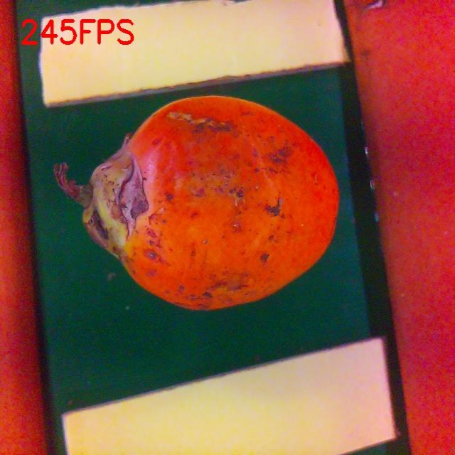 Dataset Image