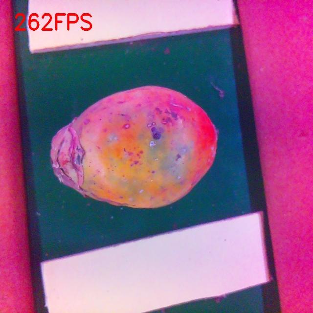 Dataset Image