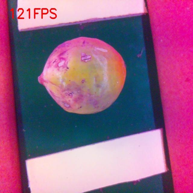 Dataset Image