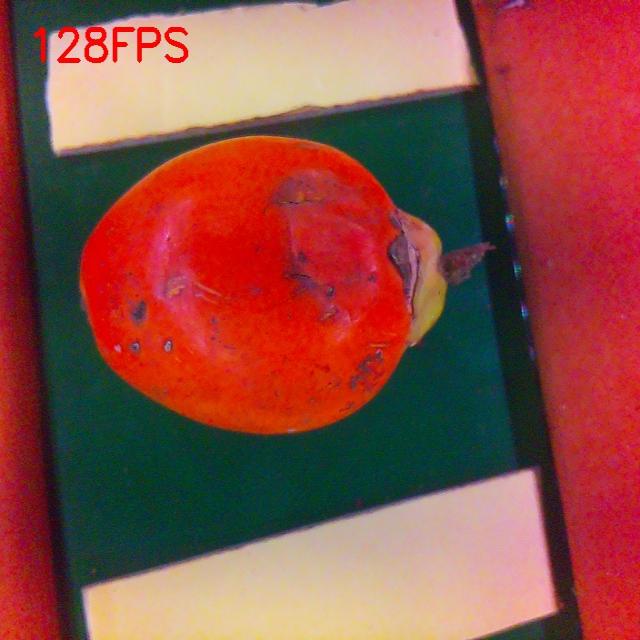 Dataset Image