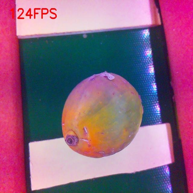 Dataset Image
