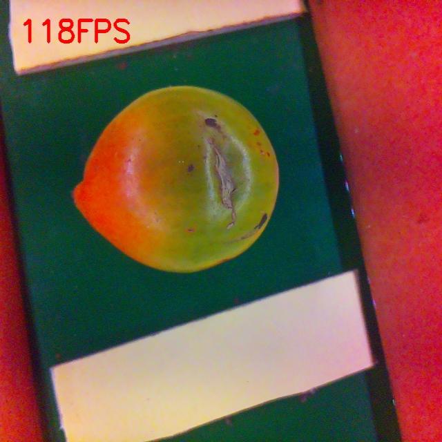 Dataset Image