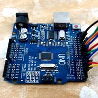 Dataset Image