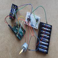 Dataset Image
