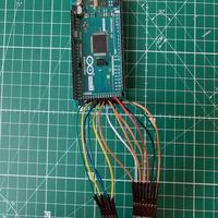 Dataset Image