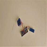 Dataset Image
