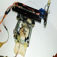 Dataset Image