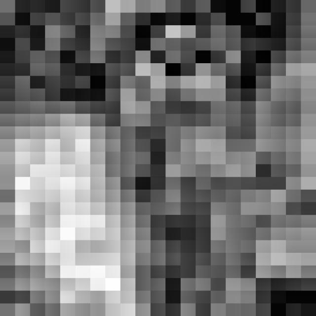 Dataset Image