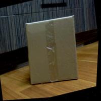 Dataset Image
