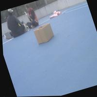 Dataset Image