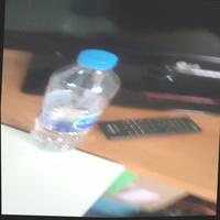 Dataset Image