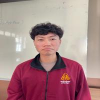 Dataset Image