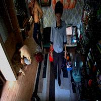 Dataset Image