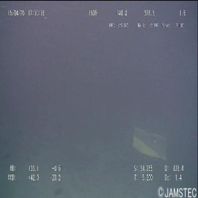 Dataset Image