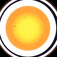 Dataset Image