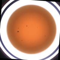 Dataset Image