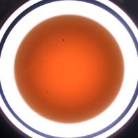 Dataset Image