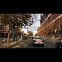 Dataset Image