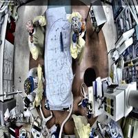 Dataset Image
