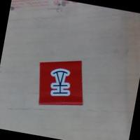 Dataset Image