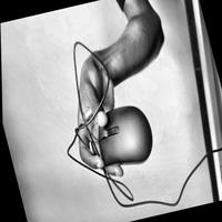 Dataset Image