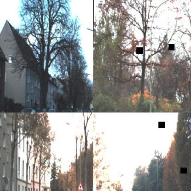 Dataset Image