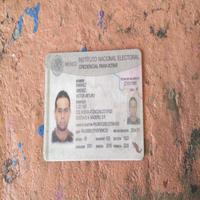 Dataset Image