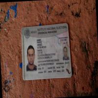 Dataset Image
