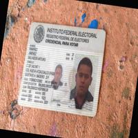 Dataset Image