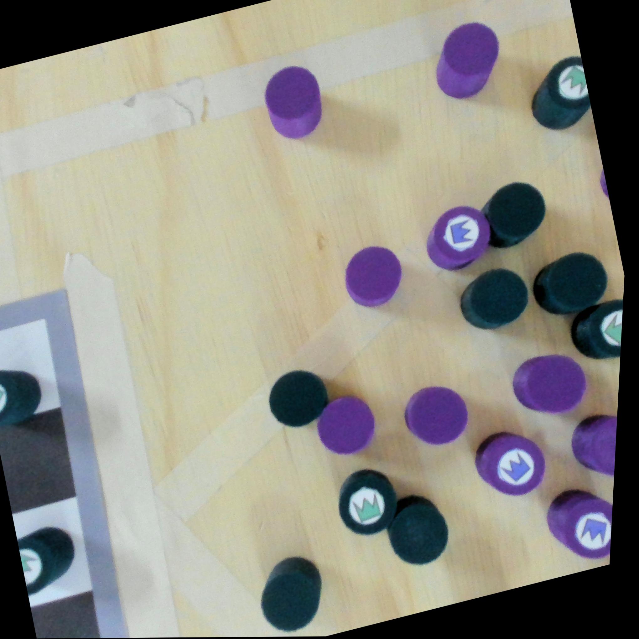 Dataset Image