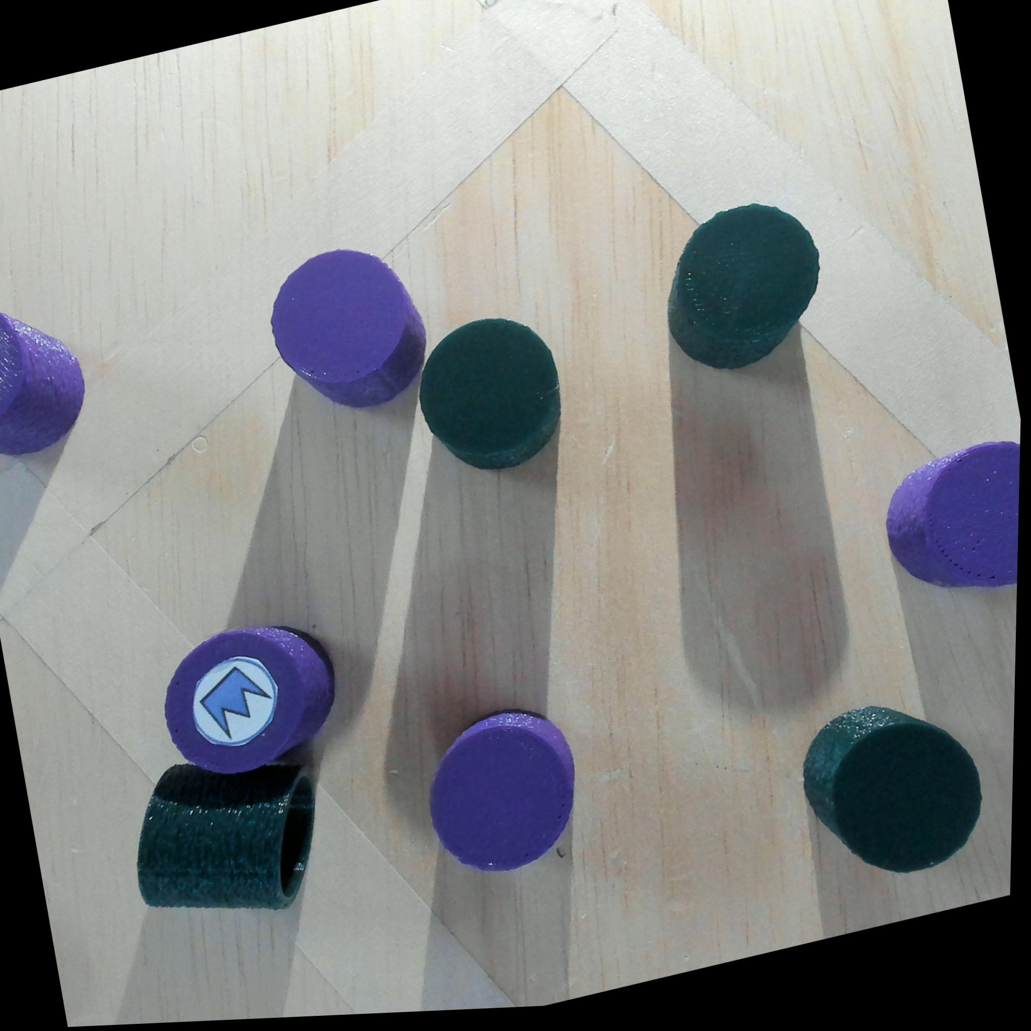Dataset Image