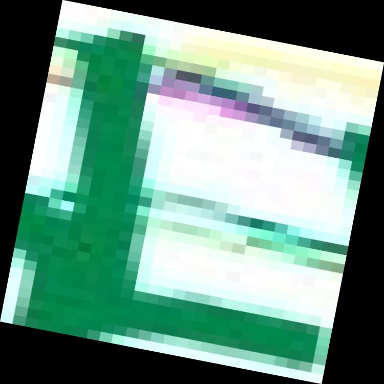 Dataset Image