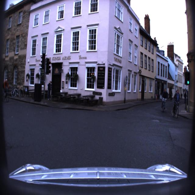 Dataset Image