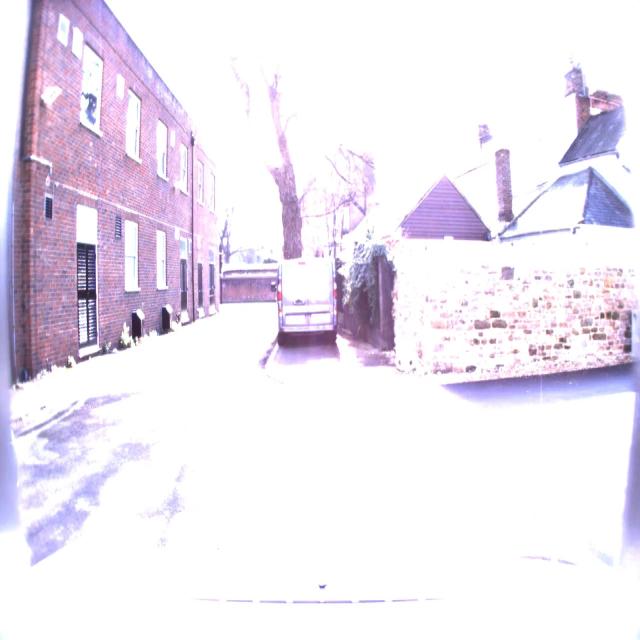 Dataset Image
