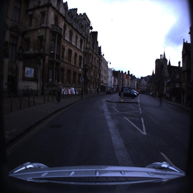 Dataset Image