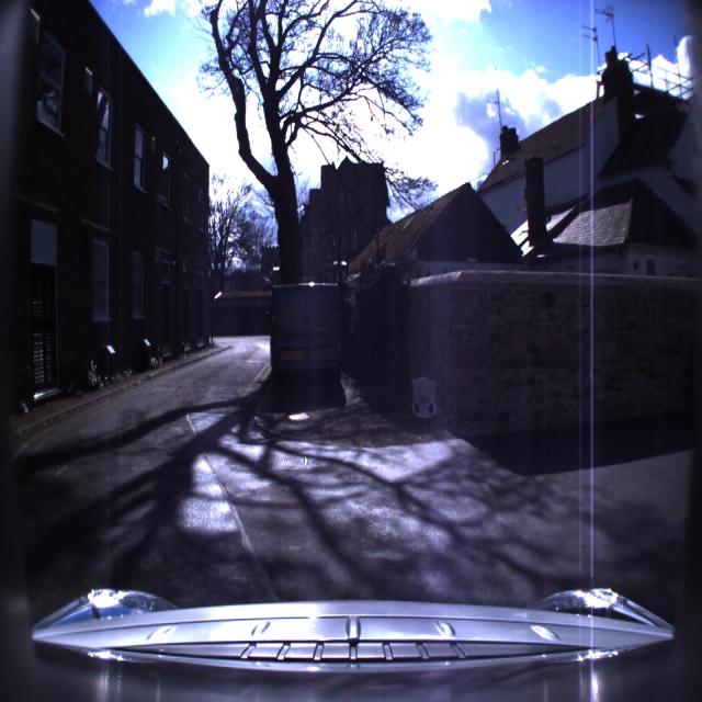 Dataset Image